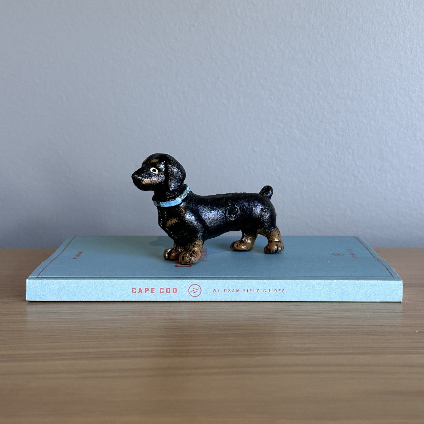 Penny the Dachshund