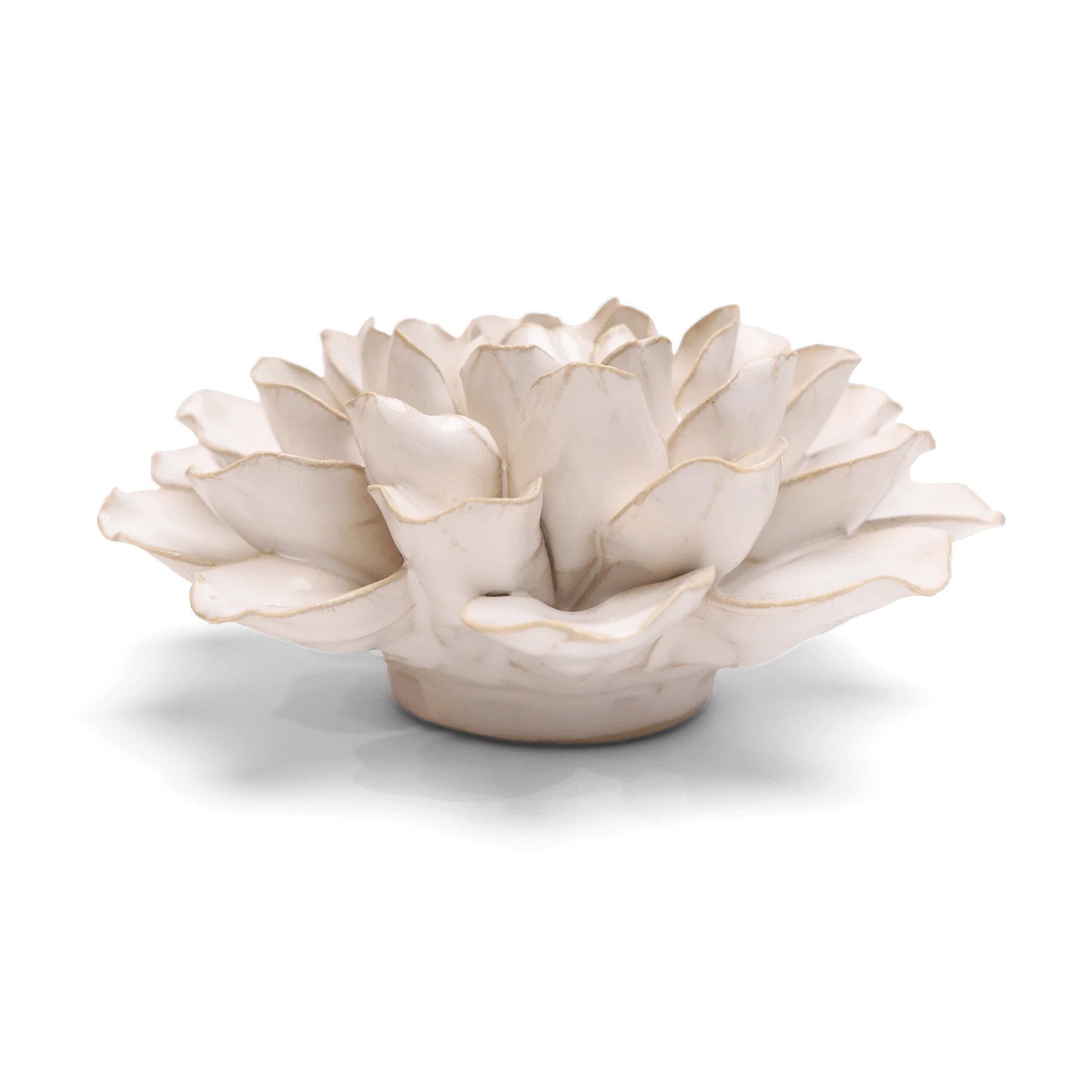 English Garden Ceramic Flower Wall Art - White Water Lily